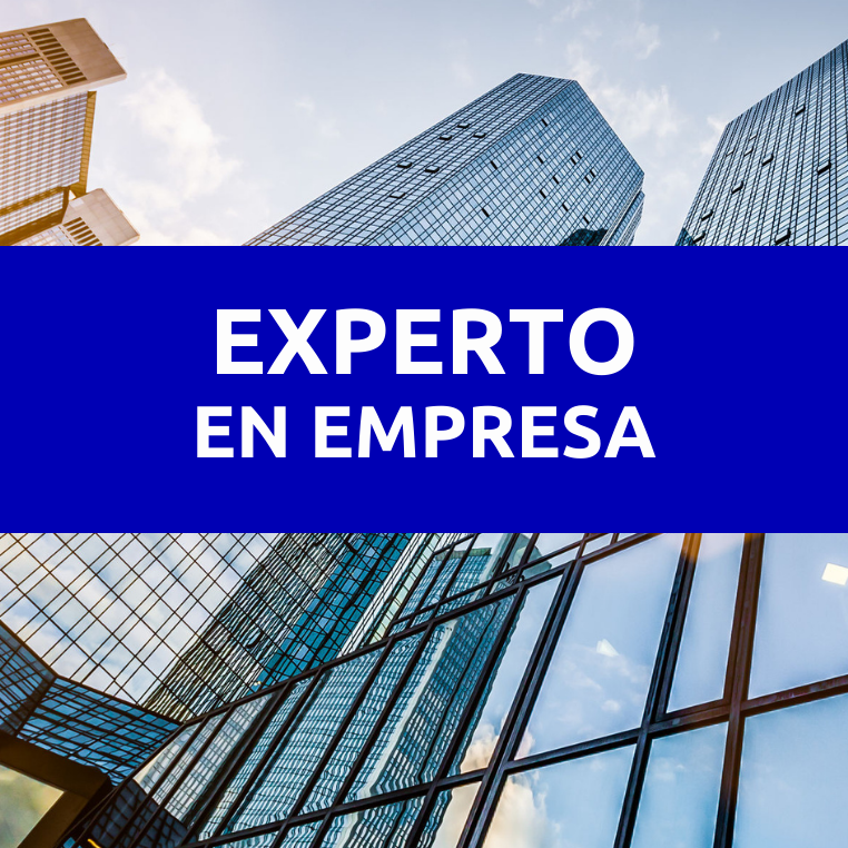 Experto Empresa