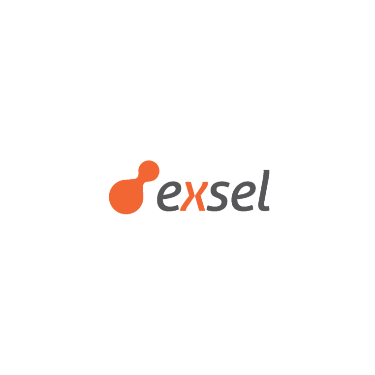 LogoExsel (1)