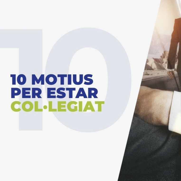 motius (002)